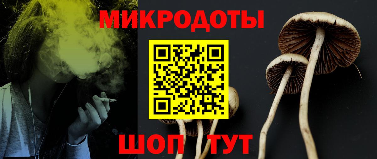 Галлюциногенные грибы Psilocybe Троицк